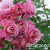 a1223be44d60613abd69bb1f3a4ee4fc