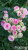 4bddf8d9cda8e12fd72a9cbb403eae0f 4bddf8d9cda8e12fd72a9cbb403eae0f