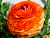 bb786ba1175ba26b0bf0abf3d5ba92ec