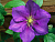 image_7681564_14949309