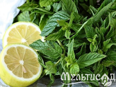 Креатив без названия (3)