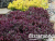 image_6895822_13180108 image_6895822_13180108