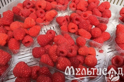 Картинка с сайта