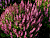 image_6895822_12900557