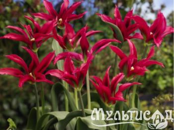 Креатив без названия (2)