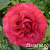 29b7a9fad352d1f49b6e370fe6acfcd3 29b7a9fad352d1f49b6e370fe6acfcd3