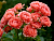 image_8165532_16141368