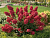 image_6895822_13179932