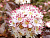 image_6895822_12900601