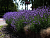 image_6895822_13180046
