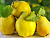 image_8255520_16390038