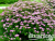 image_8165532_16177521 image_8165532_16177521