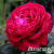 0c3454826b2c5e80ef11105dae93a97c 0c3454826b2c5e80ef11105dae93a97c